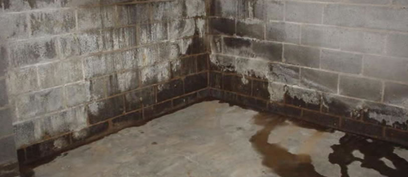 Waterproofing in Monroe, North Carolina