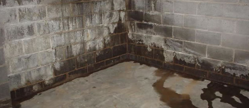 Waterproofing in Lincolnton, North Carolina